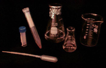 Spore sterilization supplies